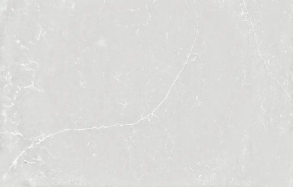 Silestone 10 Silestone Desert Silver